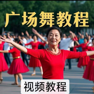 广场舞教程 中老年广场舞视频 下载高清 视频教学 打包MP4 MP3背面动作分解教程-闲鱼虚拟仓