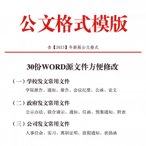 公文模板 写作规范 格式模板 行政公函 会议纪要 通知范例 大全电子版-闲鱼虚拟仓