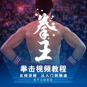 拳击教学视频 自学教程 训练零基础运动入门健身搏击格斗武术课程-闲鱼虚拟仓
