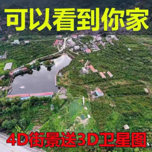 3D高清卫星地图 影像 图源 导航定位 3d立体地图 手机永久免费-闲鱼虚拟仓