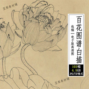 百花图谱白描线稿图集 国画花卉植103幅tif格式3.6G高清图片素材-闲鱼虚拟仓